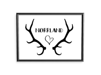 poster norrland renhorn
